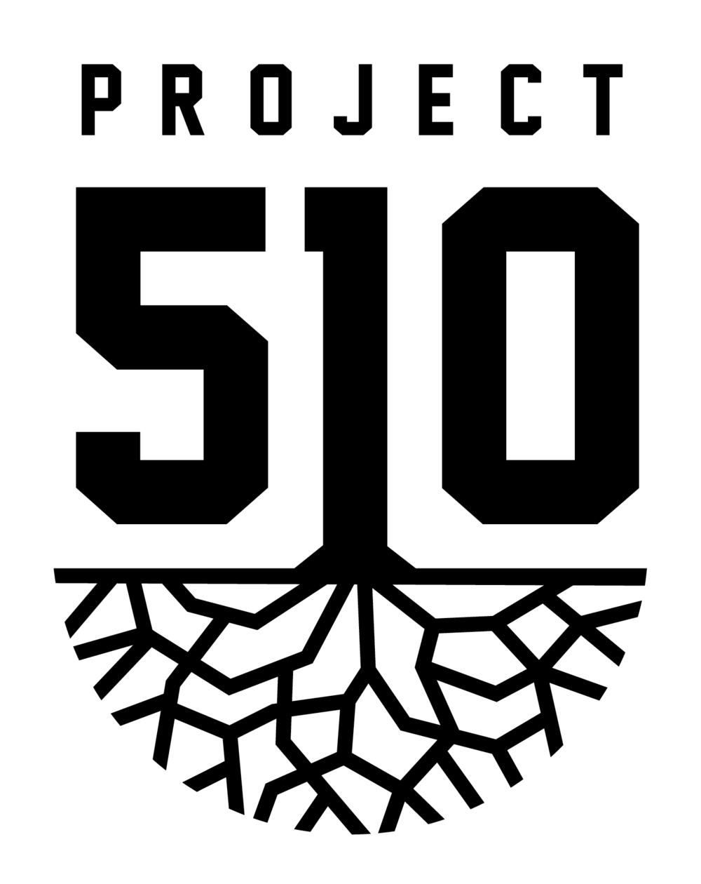 Project 510